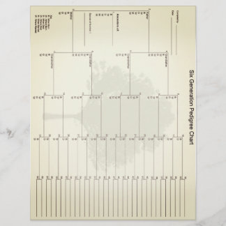 Six Generation Pedigree Paper Vintage Look