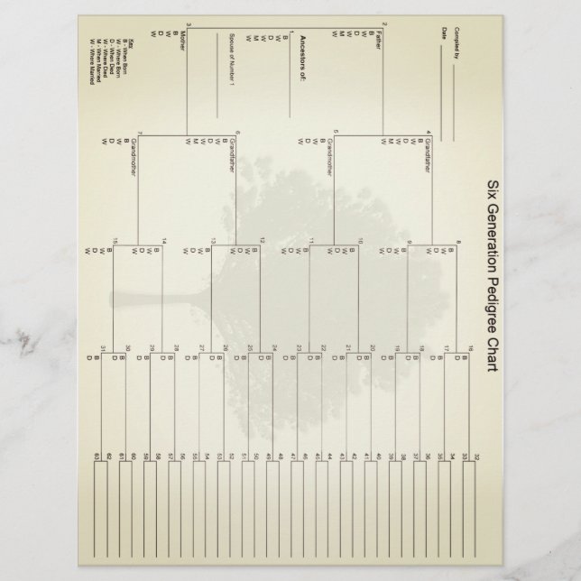 Six Generation Pedigree Paper Vintage Look (Front)