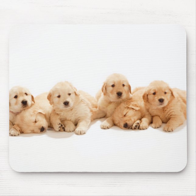 Six Golden Retriever Puppies Mouse Mat (Front)