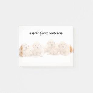 Six Golden Retriever Puppies Post-it Notes