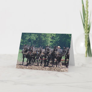 Six Horse Team Card