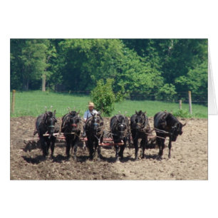 Six Horses at Work