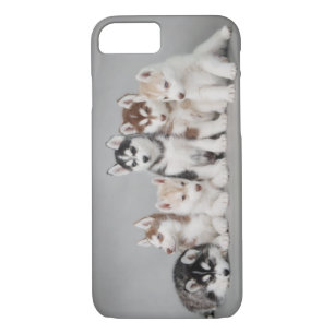 Six huskies iPhone 8/7 case