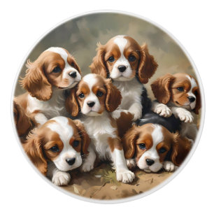 Six King Cavalier Spaniel Puppies, Ceramic Knob