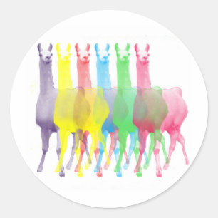 six lamas in six llama colours classic round sticker