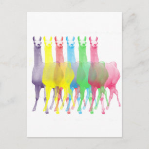 six lamas in six llama colours postcard