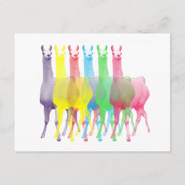 six lamas in six llama colours postcard (Front)