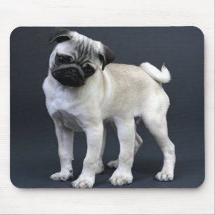 Six Legged Pug Mouse Mat