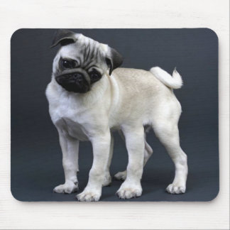 Six Legged Pug Mouse Mat