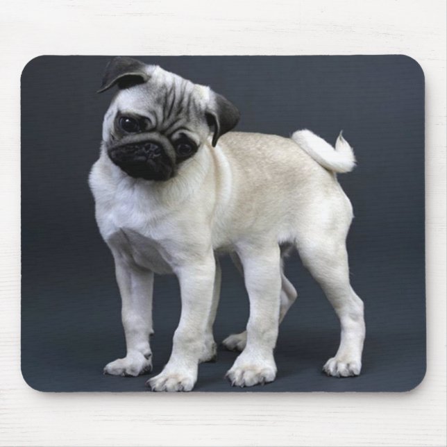 Six Legged Pug Mouse Mat (Front)