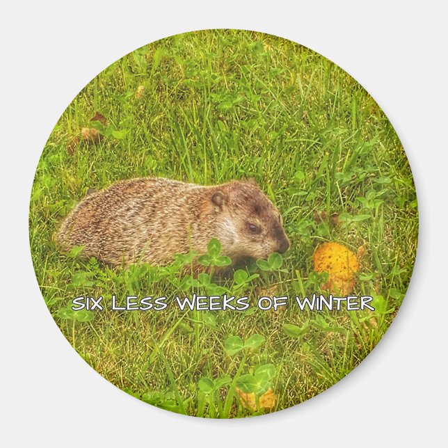 Six less weeks of winter magnet (Front)