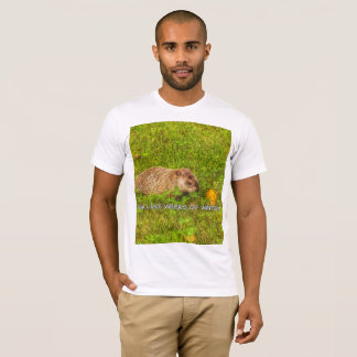 Six less weeks of winter t-shirt