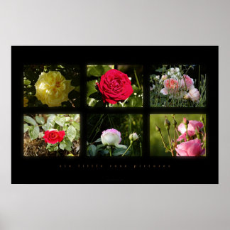 six little rose pictures poster