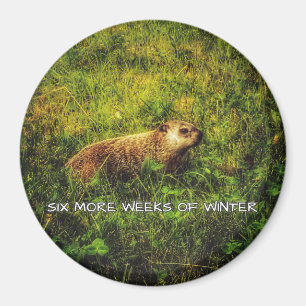Six more weeks of winter magnet