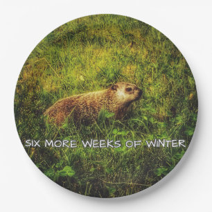 Six more weeks of winter plates