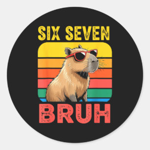 Six Seven Bruh 67 Capybara Vintage Funny Meme Gift Classic Round Sticker