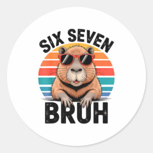 Six Seven Bruh 6 7 Meme Funny Capybara 6 7  Classic Round Sticker
