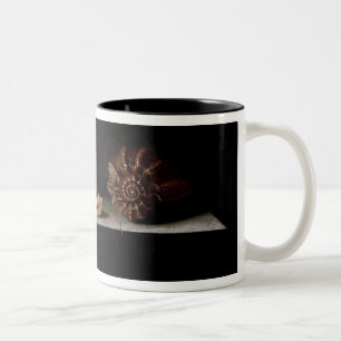 Six Shells on a Stone Shelf, 1696 Two-Tone Coffee Mug