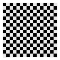 Sixteen by Sixteen Chequered Board Chessboard