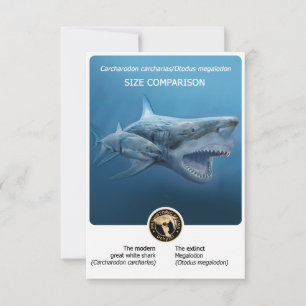 Size Comparison postcard (Megalodon+modern shark)