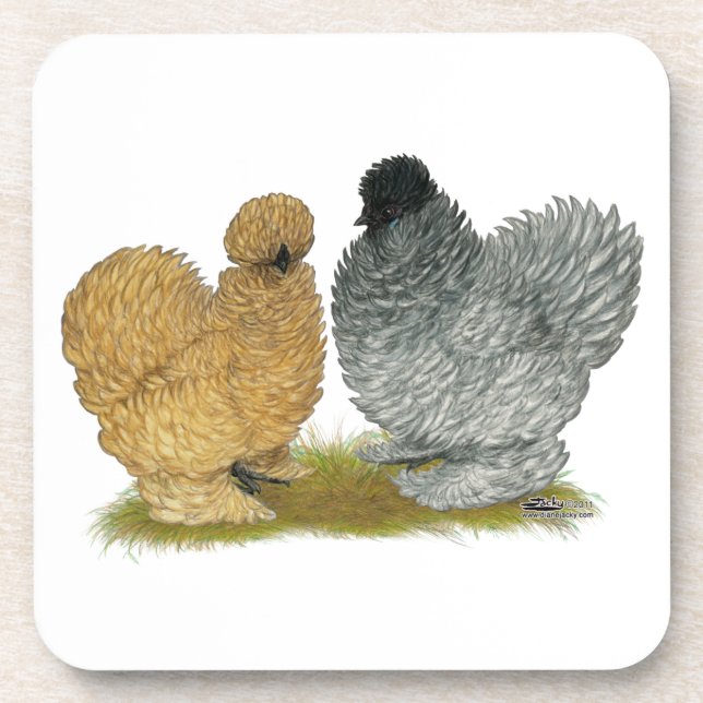 Sizzle Chickens Coaster (Front)