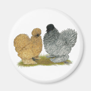 Sizzle Chickens Magnet