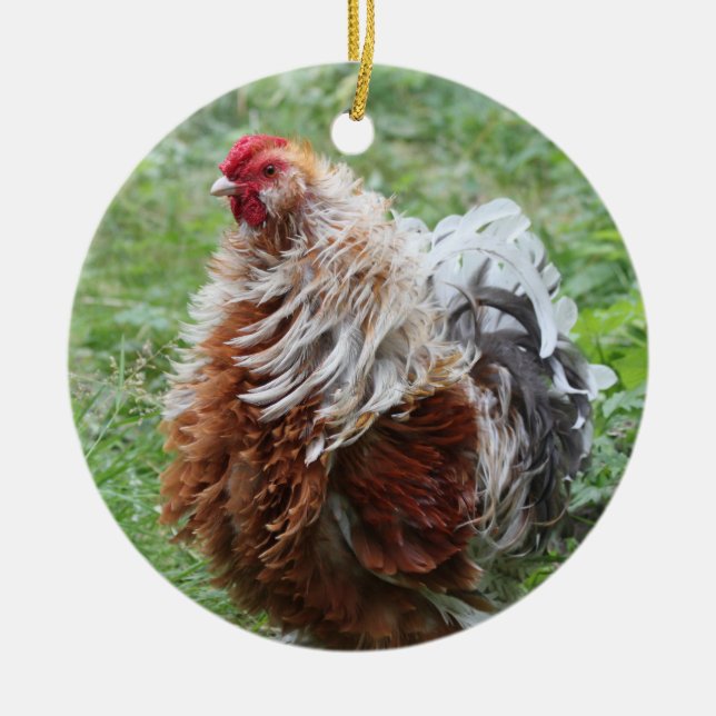 Sizzle Frizzle Fluffy Chicken Ceramic Tree Decoration (Front)