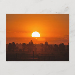 Sizzling sunset postcard