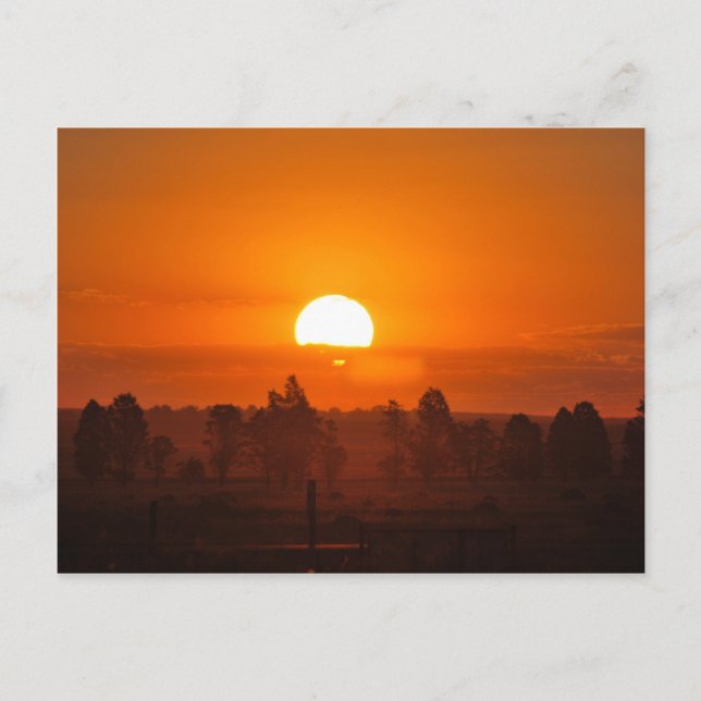 Sizzling sunset postcard (Front)