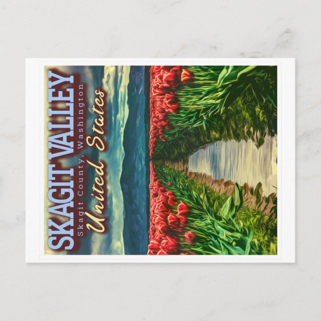 SKAGIT VALLEY - TULIP FIELDS - SKAGIT WASHINGTON  POSTCARD (Front)
