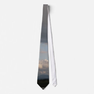 Skagit Valley View Tie