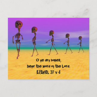 Skallywags Postcard