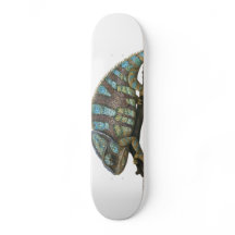 Skate chameleon