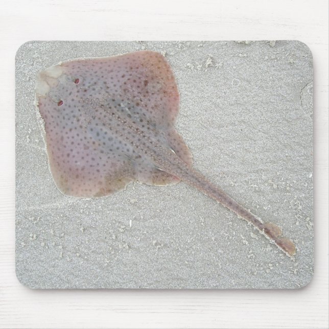 Skate Mousepad (Front)