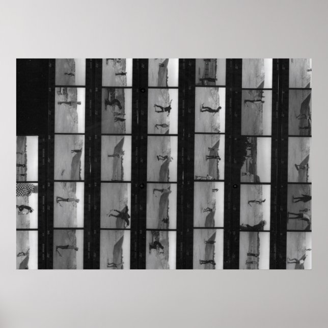 Skate! Poster (Front)