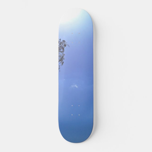 SKATEBOARD  (Front)