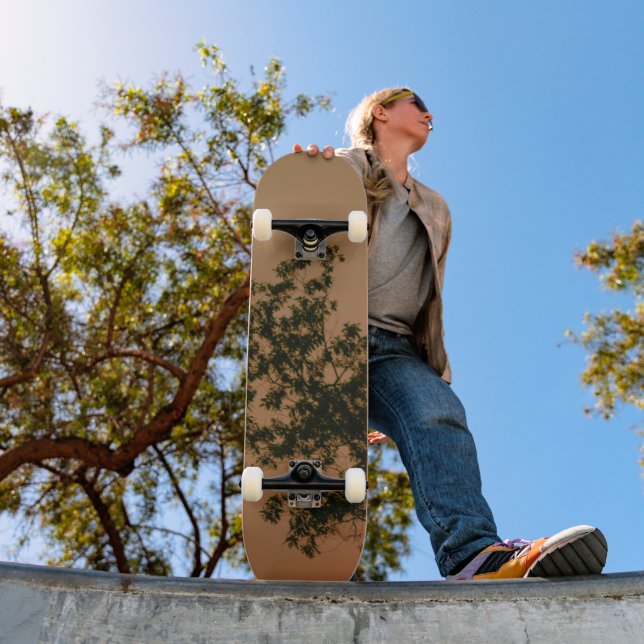 Skateboard (Outdoor 1)