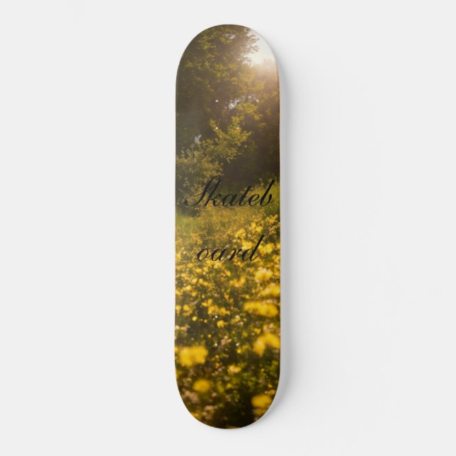 Skateboard (Front)