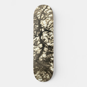 Skateboard ART AND DESIGN ECO STYLE 