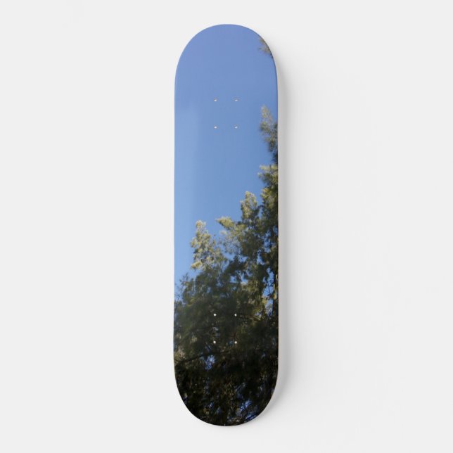 Skateboard ART AND DESIGN ECO STYLE  (Front)