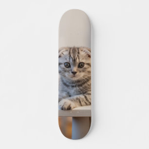 Skateboard Atento Cat Scottish fold
