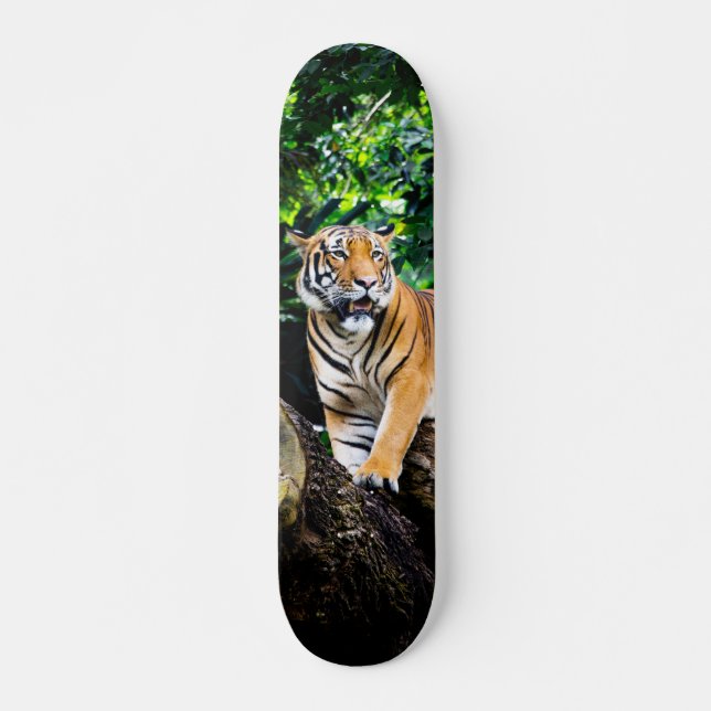 Skateboard Bengal Tiger Hunter Powerful (Front)