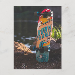 Skateboard Born To Ride Postcard