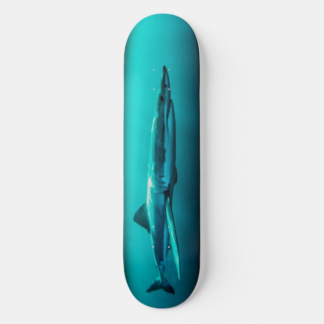 Skateboard  Bull Shark  Predator. (Front)