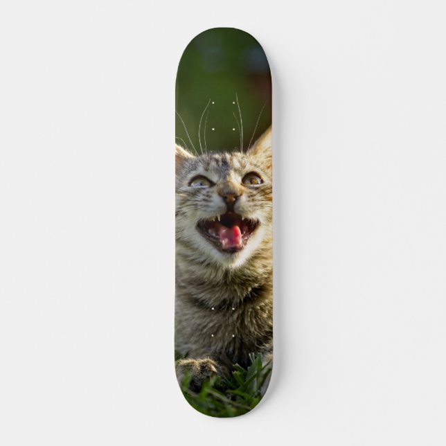 Skateboard Cat Howling in the Grass (Front)