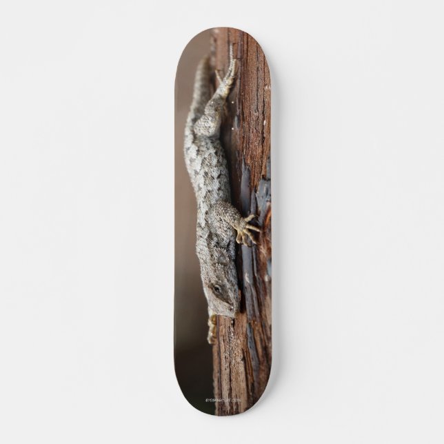 Skateboard featuring lizard (Front)