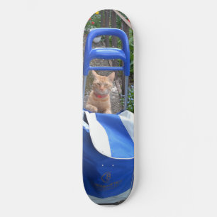Skateboard Ginger Cat