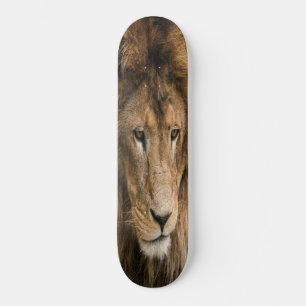 Skateboard powerfully built LION 