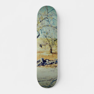 Skateboard scene