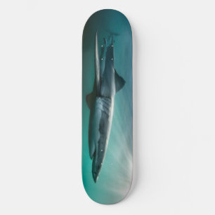 Skateboard Shark hungry Predator.